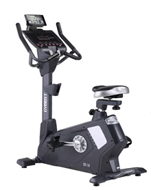 Rower Pionowy Turbo B11 LED