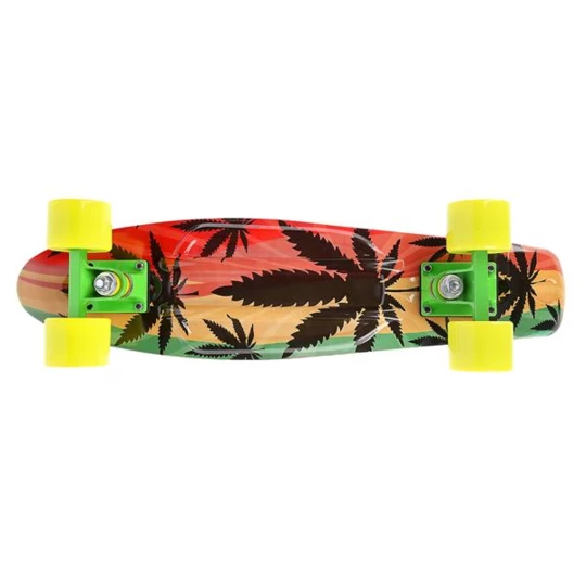 PENNYBOARD ART REGGAE SIGNA (16-45-296)