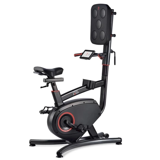 Rower treningowy Lifespan Cycle Boxer CB110